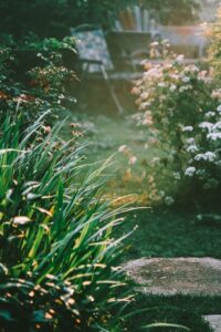 Tips for Creating a Relaxing Outdoor Garden Space at Home